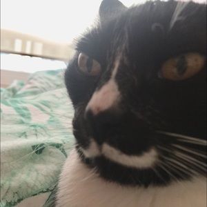 Meet your Posher, May